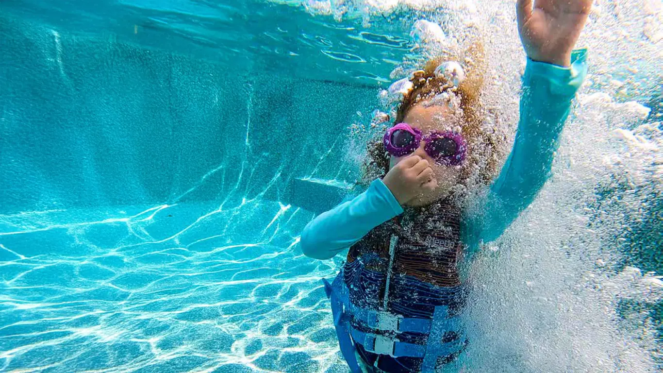 Pentair Pool Automation SANITIZERS